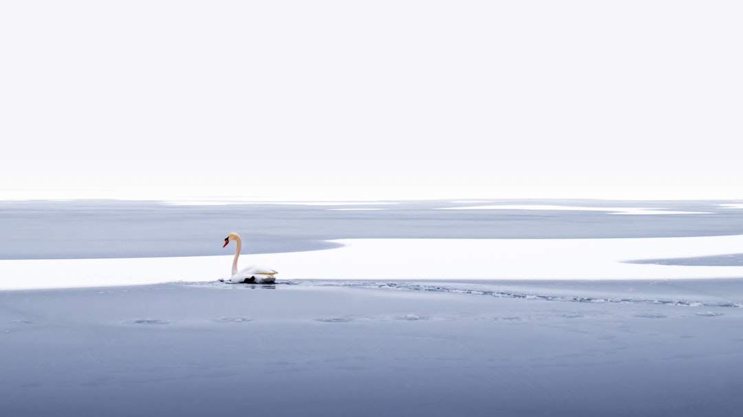 Photo Mindfulness for relaxation
